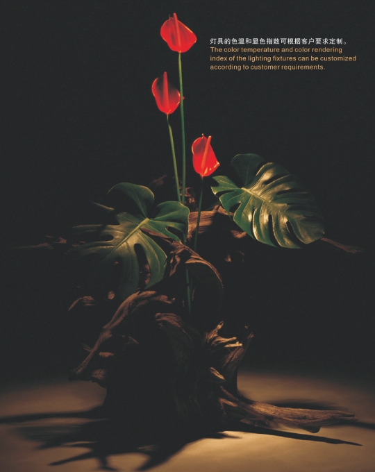 新建项目 (18).jpg